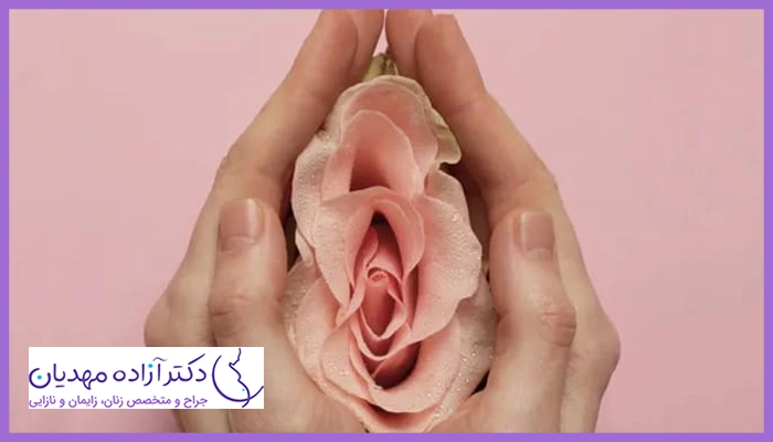 مهم‌ترین علتی که خانم‌ها تصمیم به انجام جراحی لابیاپلاستی می‌گیرد؟